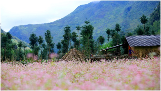 cảnh đẹp hà giang mùa đông