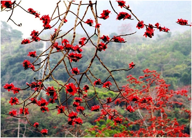 canh dep ha giang