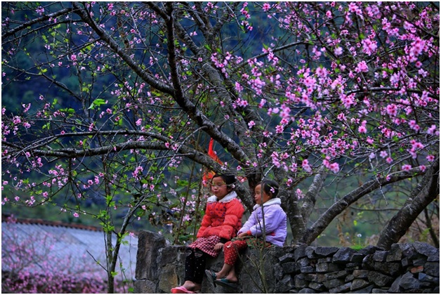 du lịch mùa xuân