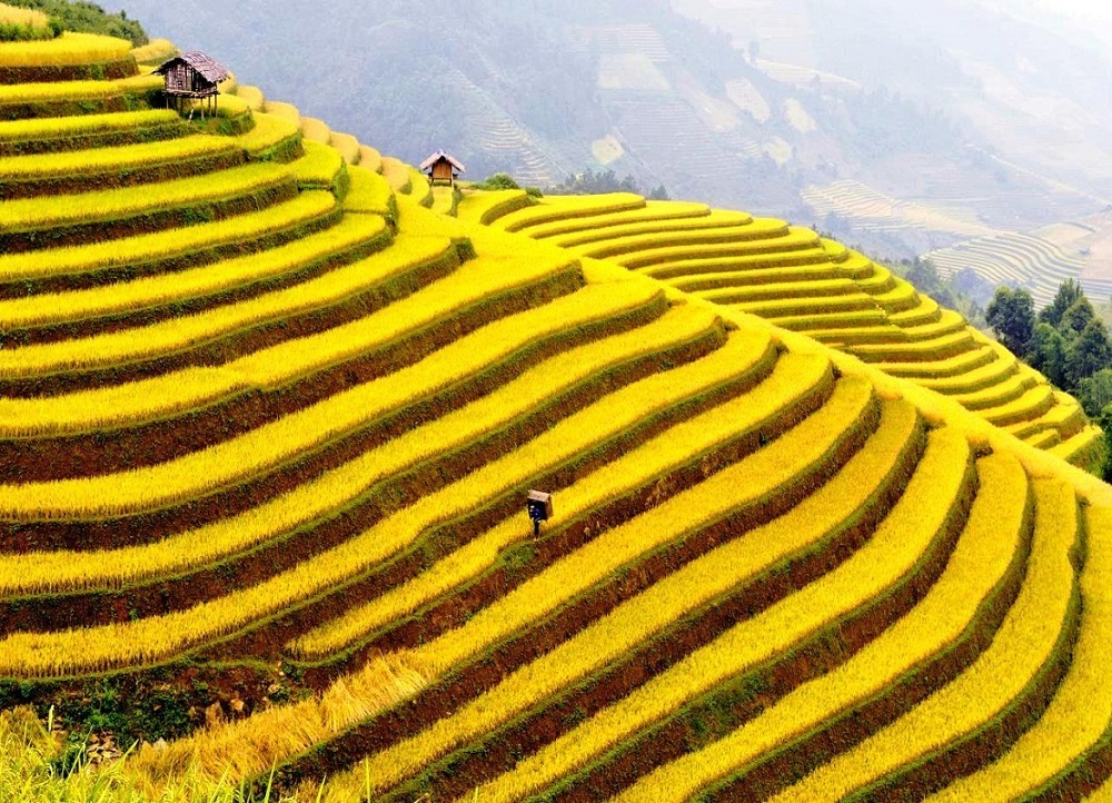 ruộng bậc thang tại Hà Giang